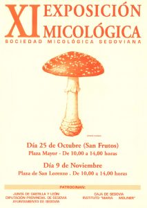Sociedad Micológica Segoviana, exposiciones, 1997 amanita muscaria