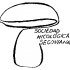 Sociedad Micológica Segoviana, logotipo