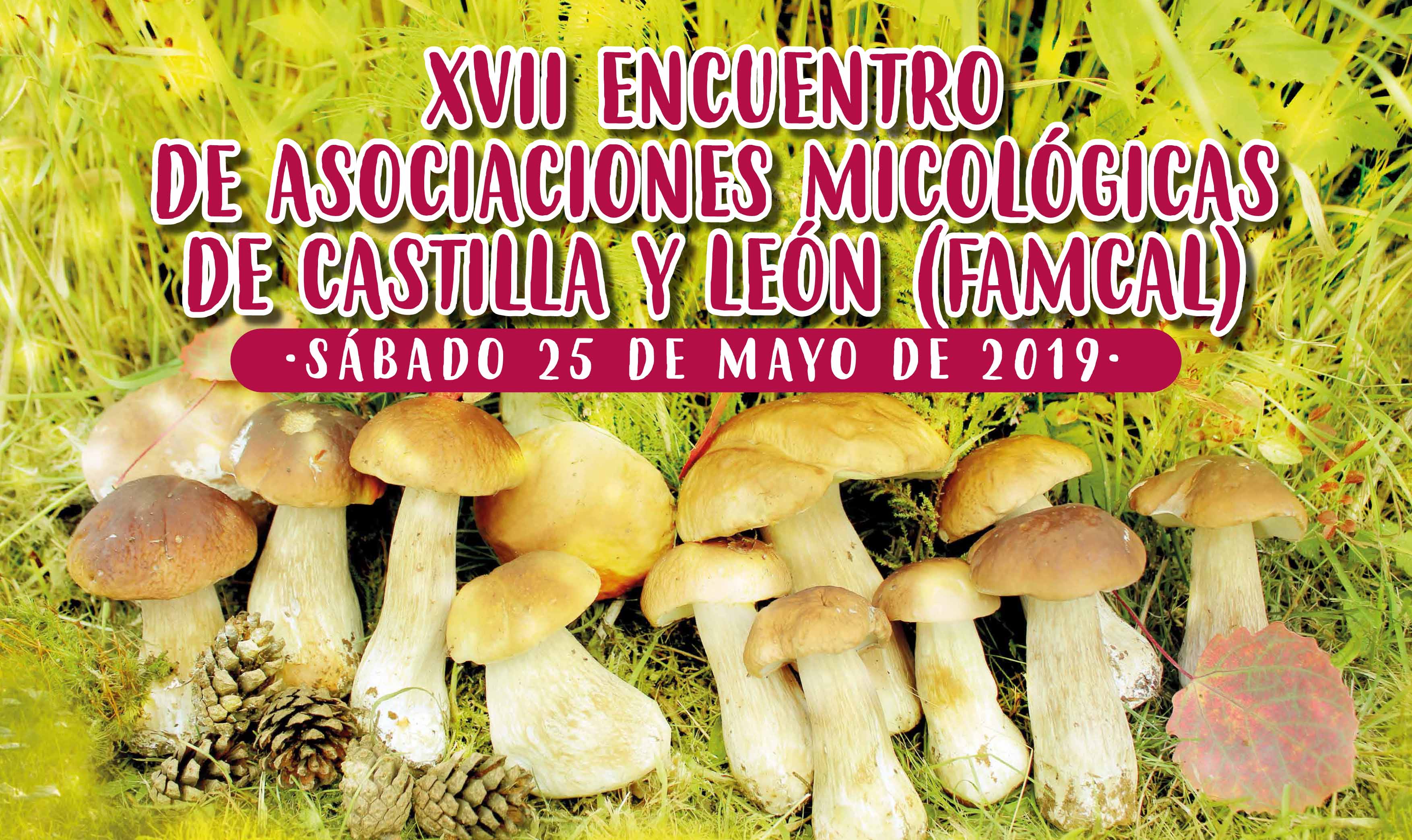 XVII Encuentro de asociaciones micológicas de Castilla y León (FAMCAL)