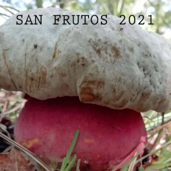 Exposición San Frutos 2021