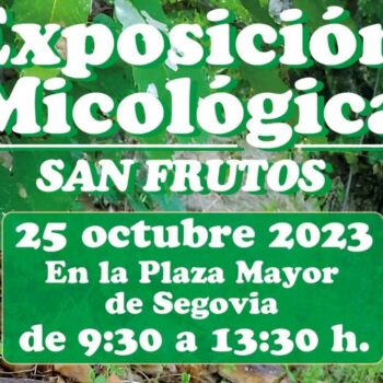 Exposición Micológica San Frutos 2023